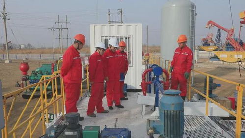 外媒聚焦中國油田“孤島廠側鉆”技術 管理升級盤活資產，資產管理邁向新高度