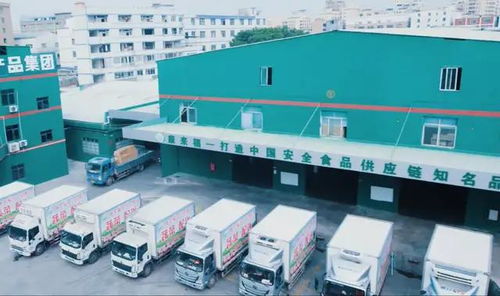 超市驚現老鼠啃食肉糜事件警示 企業食品安全管理與室內環境治理的雙重防線